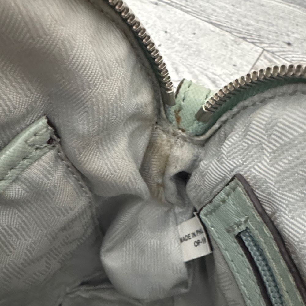 Michael Kors Mint Green Crossbody Bag - Picture 13 of 14